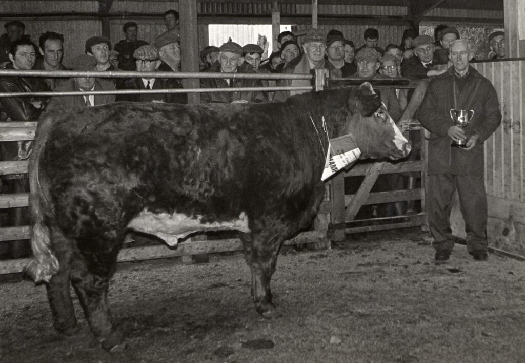 Matt Smith of Brodick with his first ever champion, a Simmental bullock, in 1988.