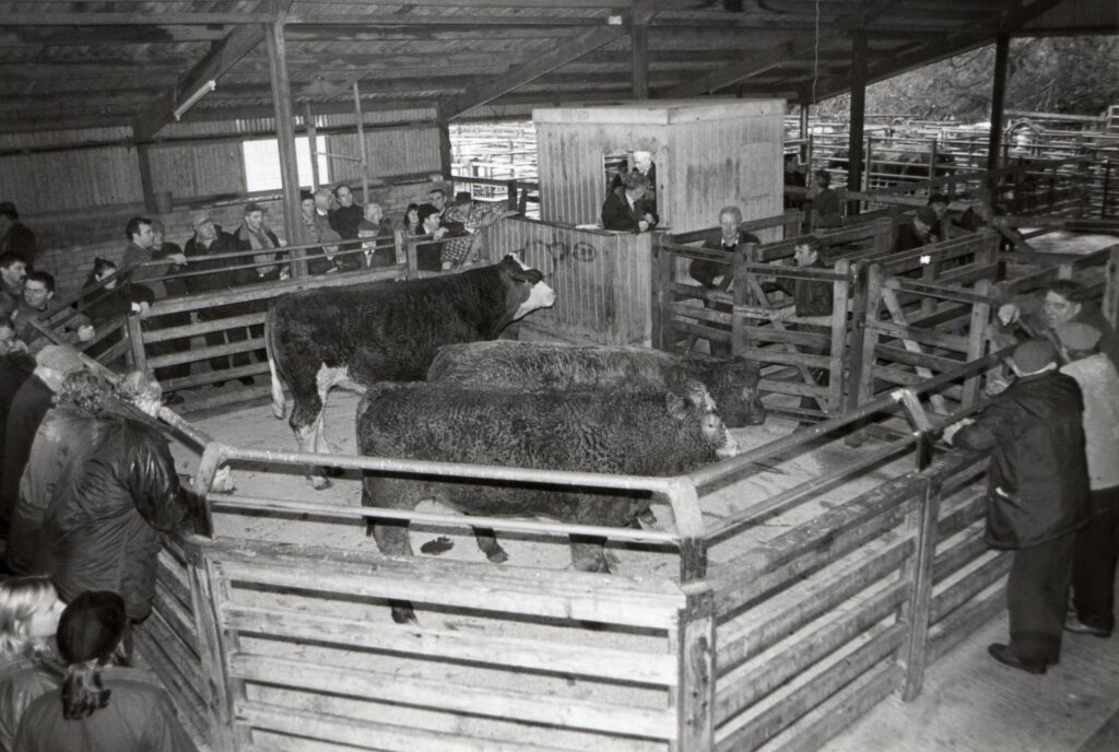 Empty spaces around the auction ring at last year’s show in 2000.