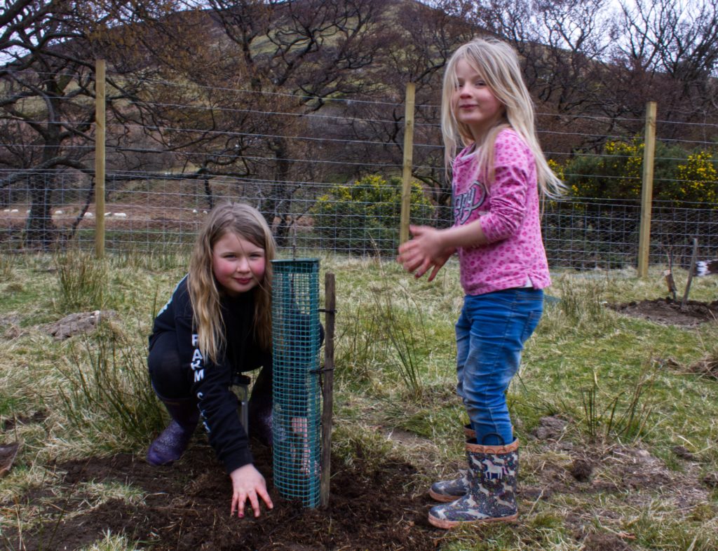 March: Poppy and Flora Murdoch plant an apple tree in Lochranza as part of the Arran Pioneer Project’s Lochranza orchard.