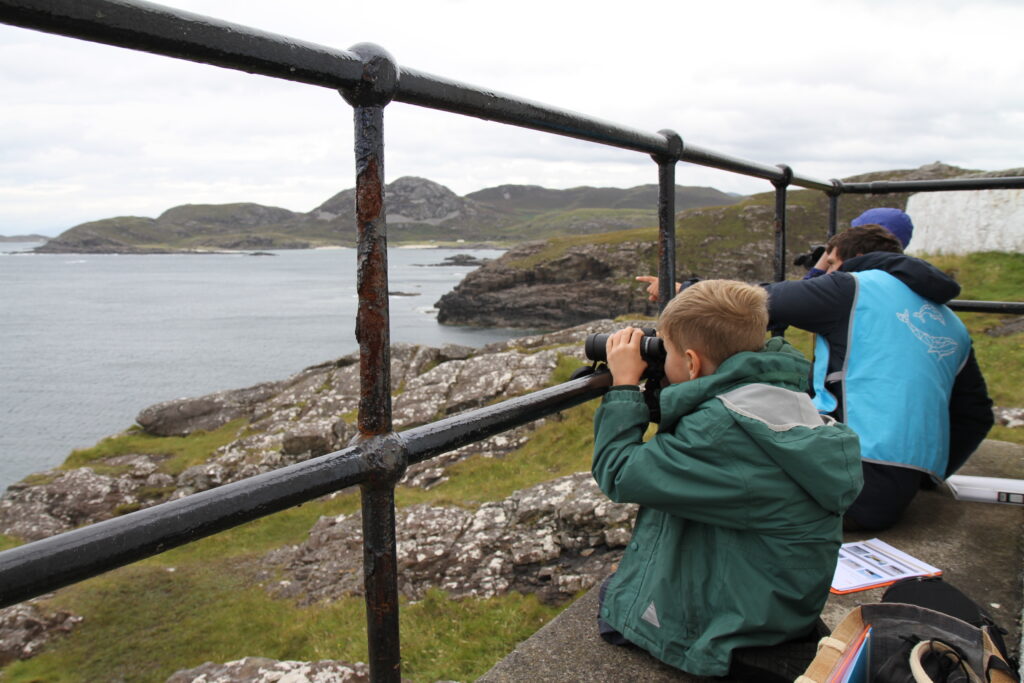 Kilchoan Primary School pupils being whale detectives.