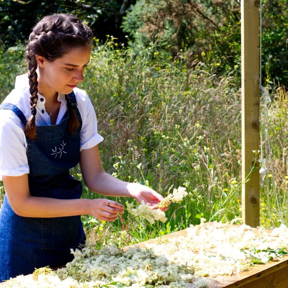 An all-natural ingredient, meadowsweet, is sorted and dried in the sun before being used in the beer and gin production.