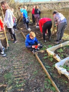 Pupils at Dalintober use the school allotment in all areas of their eco work, from planting and growing, to weeding and pruning.
