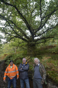 The 350 year old Ardgour oak tree which has now been named as a Queen’s Tree, pictured with, from left, Ewen Morrison, Tony Boyd and Michael Foxley Photograph: Iain Ferguson, alba.photos NO F18 Woodlands award 02
