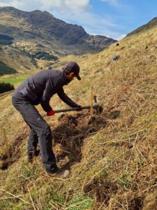 Forestry and Land Scotland has begun a tree planting project on the hillside above the Rest and Be Thankful.