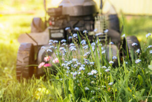 People were encouraged to not mow lawns or strim other areas and allow then to go wild for No Mow May. Photograph: Shutterstock. NO-F24-mower-6