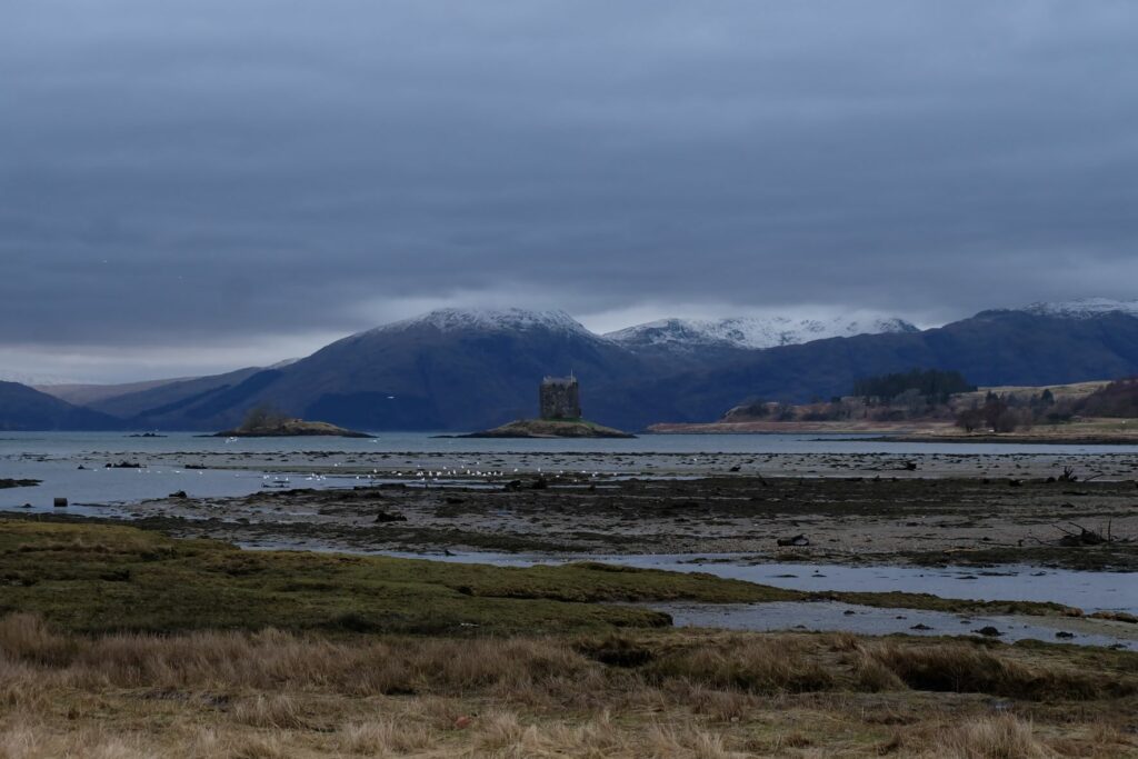 Stalwart Castle Stalcaire, perched at the confluence 
of Loch Linnhe and Loch Laich, 
Sentinel of the sea edge  where the birlinns once sailed by.

Long-standing Stalker, Castle of the Falconer, Guardian of green Appin,
clan-home and prison keep, hunting lodge for a cousin-King.

Stalker - built by a man destined to die 
on his wedding day...

From Deborah Templeton, Echoes of Appin.

Photograph: Charlotte Smith.