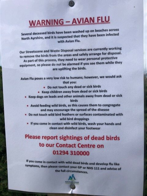 A sign warning of the hazard of bird flu.