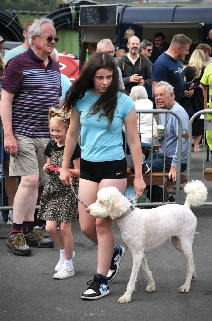 Cara and Isla won the best junior handler award with Aotea, a very neat standard poodle.