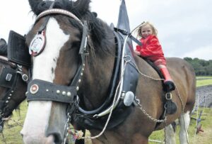 2012: Henrietta Jones has a ride on Clydesdale horse Bob owned by George Robertson. The two-year-old girl jumped at the opportunity to sit on the back of the gentle giant at Saturday’s Largieside Ploughing Match at Ferry Farm, Tayinloan.