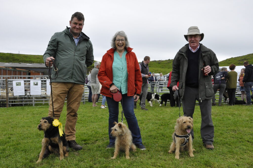A family reunion: terriers Tilly (centre), and her two sons Ted (right), from Renfrewshire, and Gerry (left), from County Antrim. Their owners, on holiday in Loch Creran, summed up the dogs' day as 'excitable'.