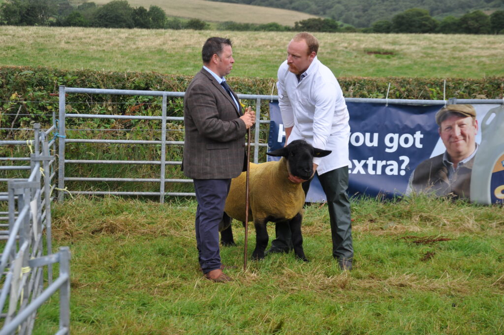 Judge David Clark discusses his Suffolk sheep with Stuart McMaster.