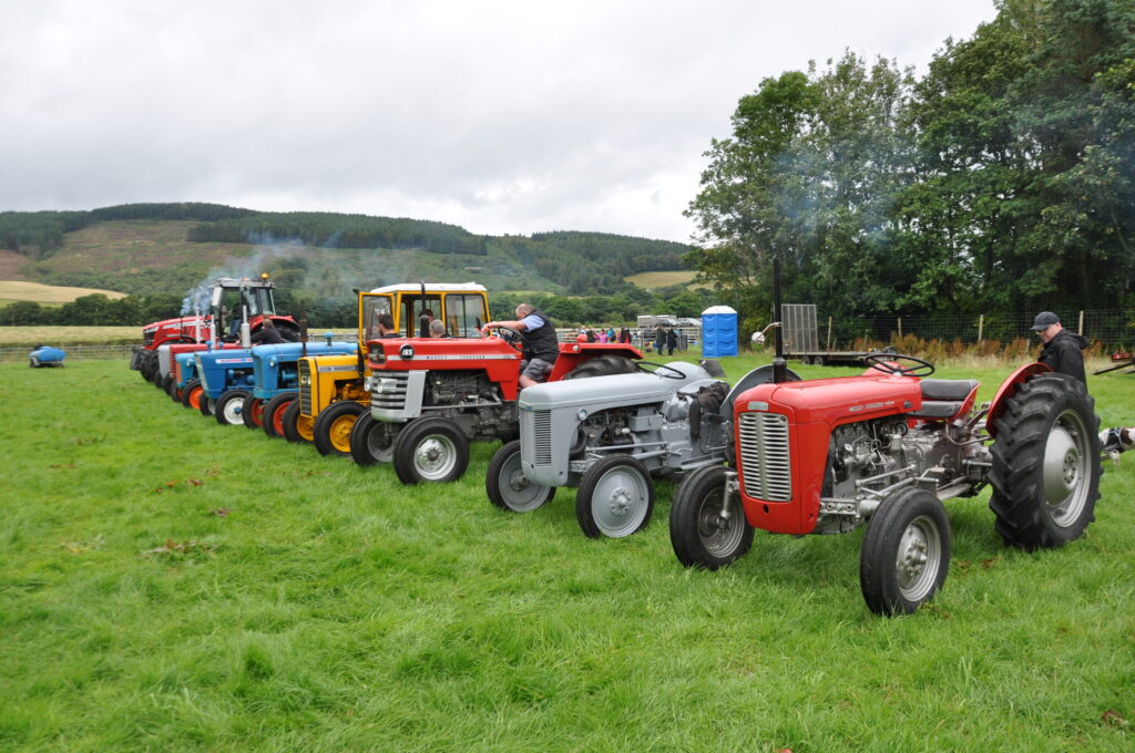 The splendid line-up of vintage tractors at the show.