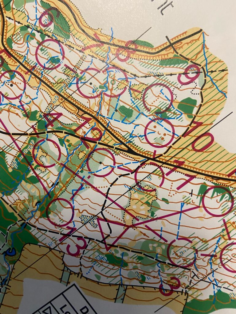 The unusual and specialist maps that are used by orienteers. Photograph: Dave Rollins.