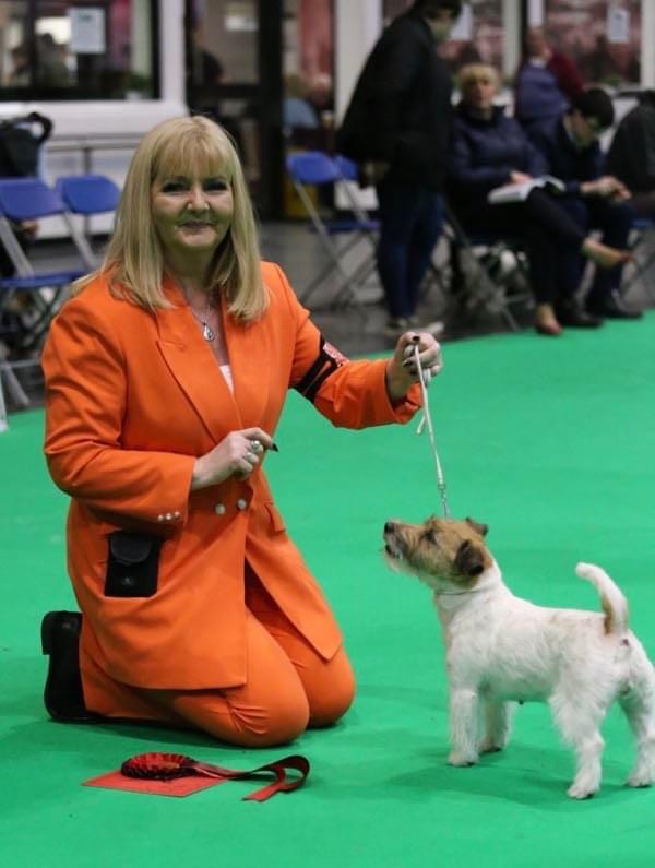 Audrey and Winnie- All Jacks Unusual which took first place in the veteran bitch class. NO F12 Crufts 03