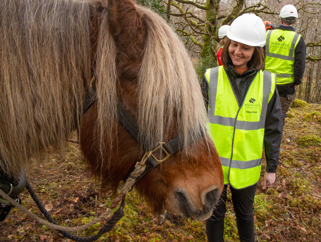 Environment Minister Mairi McAllan meets Tarzan the logging horse at Loch Arkaig Pine Forest. Photograph: John MacPherson/WTML. NO F12 Tarzan 07