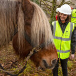 Environment Minister Mairi McAllan meets Tarzan the logging horse at Loch Arkaig Pine Forest. Photograph: John MacPherson/WTML. NO F12 Tarzan 07
