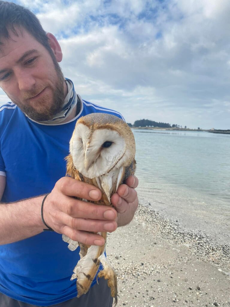 Bob Shirley with the barn owl shortly after rescuing it from the sea. Photograph: Bob Shirley. NO F13 barn owl at Arisaig 02