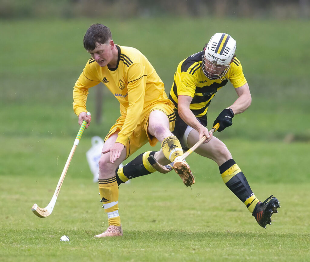Shinty round-up Saturday April 30