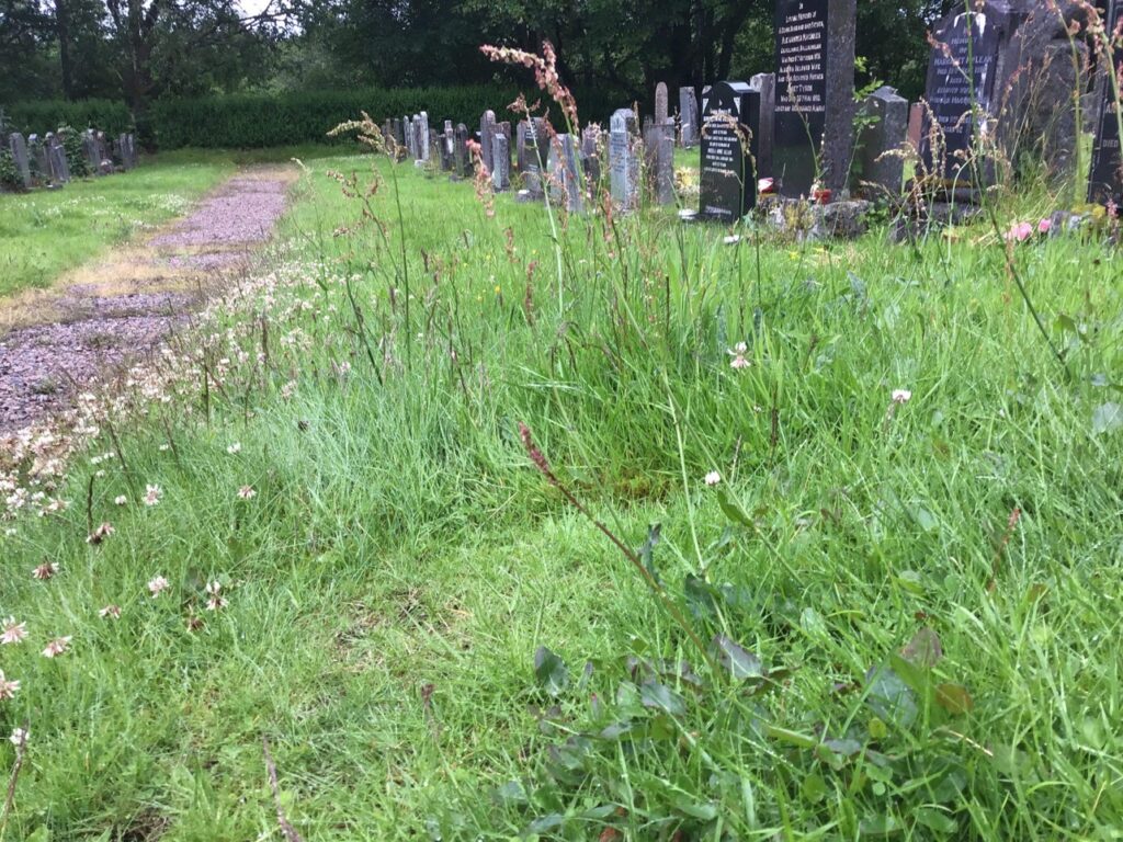 Council slammed over ‘weed-filled jungle’ that is Duror Cemetery