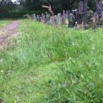 The cemetery in Duror about which there have been complaints about the lack of grass cutting and other maintenance. NO F33 Duror Cemetery 01