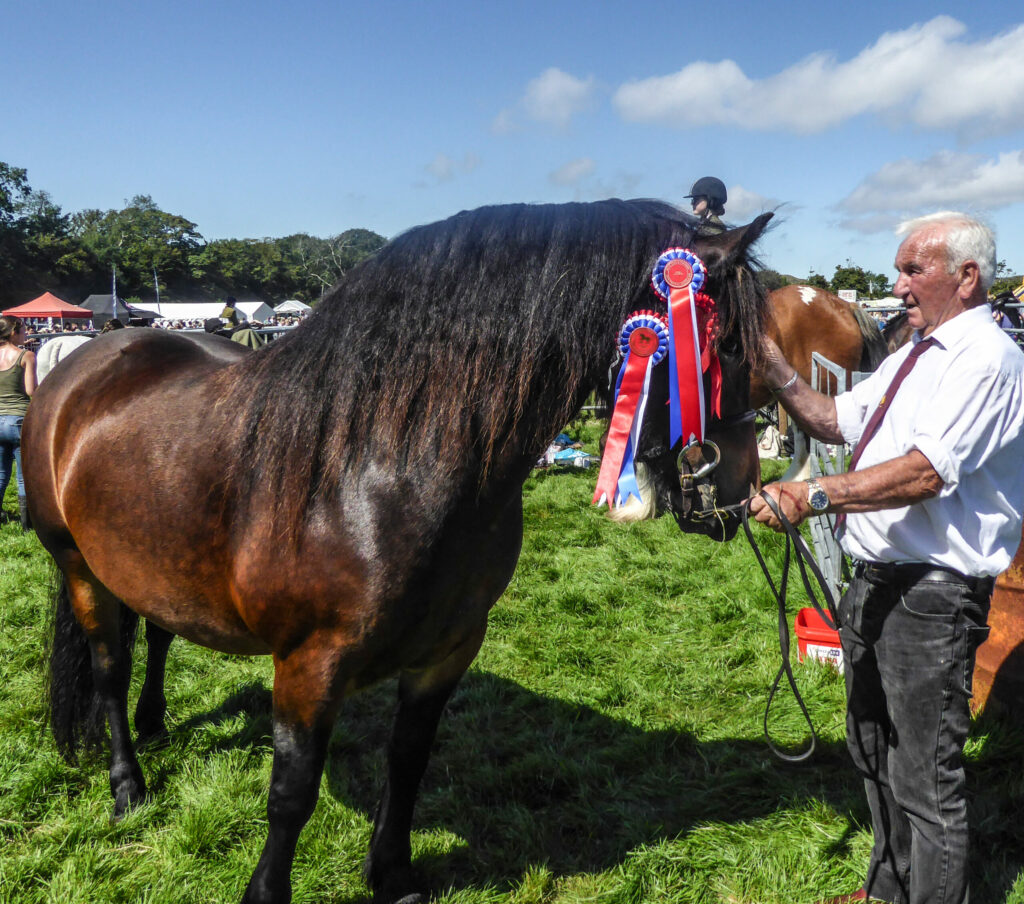 Islay show emerges into broad sunlit uplands