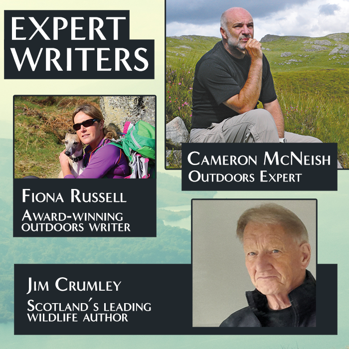 Expert Writers