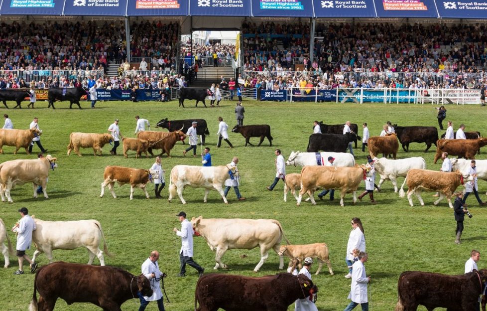 Royal Highland Show