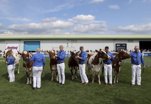 Livestock Competition