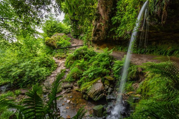 Maspie Den, Falkland (Shutterstock)