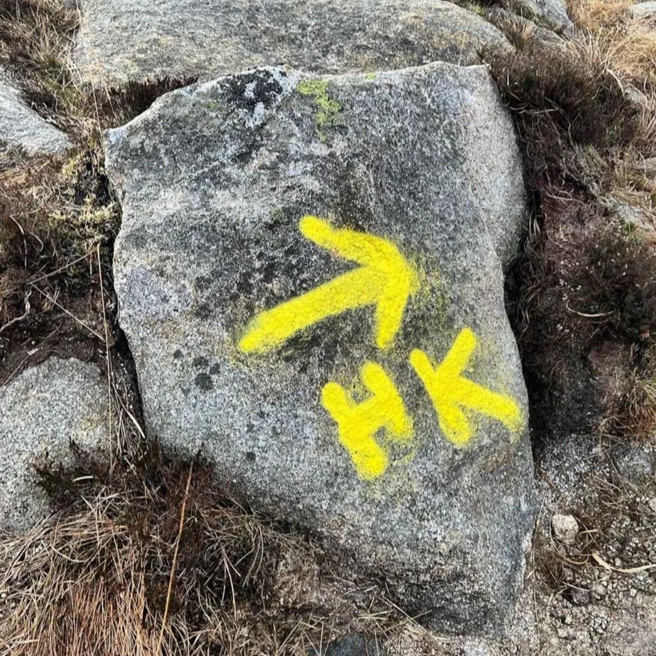 Police probe after race organisers accused of route marker vandalism