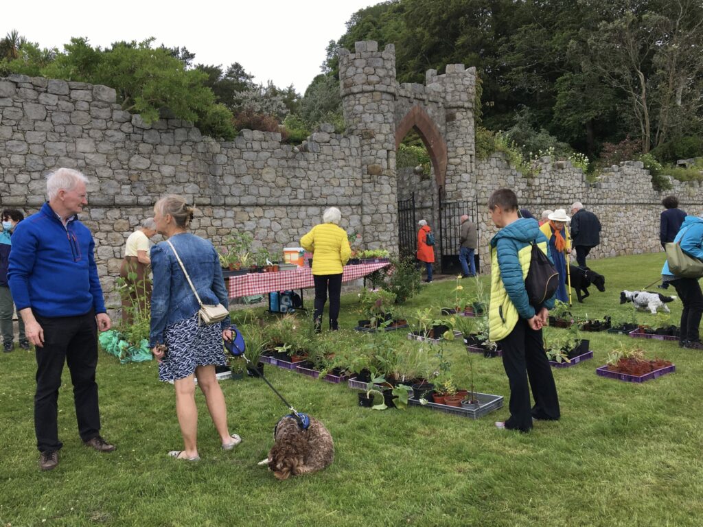 Charity funds raised at Dougarie open garden day