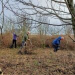 Conservation volunteers clearing woodland to make way for new planting on Gigha.