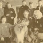 In 1997: Rough collies Brody, Fergus and Finley from Narrowfield Kennels meet the Drumlemble pupils. Launching a new project on children and dogs, the visit was the first of a series planned for primary schools throughout the area by Canine Concern and Narrowfield Kennels.