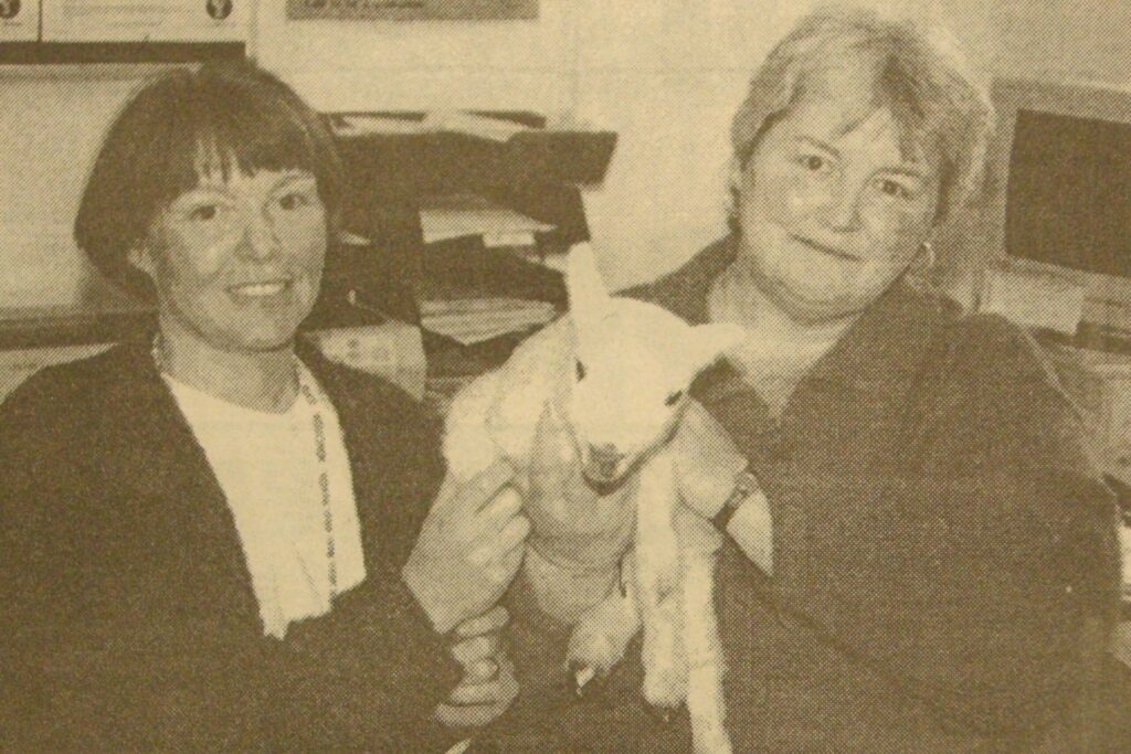 In 1997: A Kintyre woman has taken the 'take your dog to work' theme a step further. Kathy Ramsden of Culfuar Farm, Tayinloan, has in fact been taking a lamb to work with her for the last couple of weeks. The lamb, which was a twin, needs feeding every three to four hours and the only hope it has of surviving is for Kathy to nurture it to health. Back on the farm, everyone is too busy to find the time to feed the lamb so frequently, so Kathy took up the challenge and became its surrogate mum. Knuckles, as Cathy has named the lamb, because of its knuckle-looking feet, has been doing well and he's gaining strength by the day as it goes to work. And where better for Kathy to work, but the Campbeltown office of the National Farmers' Union. Kathy, right, works at the NFU office as assistant to Morna Paterson, left, who just loves the office’s newest employee.