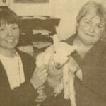 In 1997: A Kintyre woman has taken the 'take your dog to work' theme a step further. Kathy Ramsden of Culfuar Farm, Tayinloan, has in fact been taking a lamb to work with her for the last couple of weeks. The lamb, which was a twin, needs feeding every three to four hours and the only hope it has of surviving is for Kathy to nurture it to health. Back on the farm, everyone is too busy to find the time to feed the lamb so frequently, so Kathy took up the challenge and became its surrogate mum. Knuckles, as Cathy has named the lamb, because of its knuckle-looking feet, has been doing well and he's gaining strength by the day as it goes to work. And where better for Kathy to work, but the Campbeltown office of the National Farmers' Union. Kathy, right, works at the NFU office as assistant to Morna Paterson, left, who just loves the office’s newest employee.