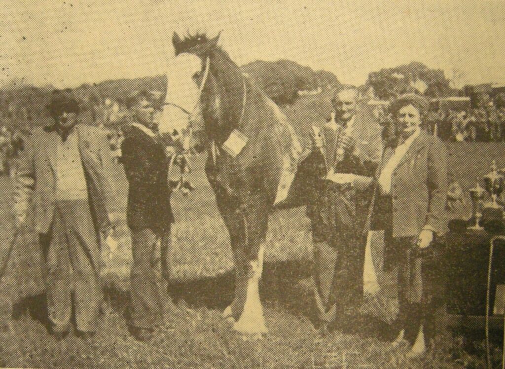 In 1952: Mr William Smith, Barrmains, is seen holding the Clydesdale trophy which he received from Mrs A Smith whose husband, Mr Andrew Smith, Drumore, was president of the Kintyre Agricultural Society and is seen on the extreme left of the picture.