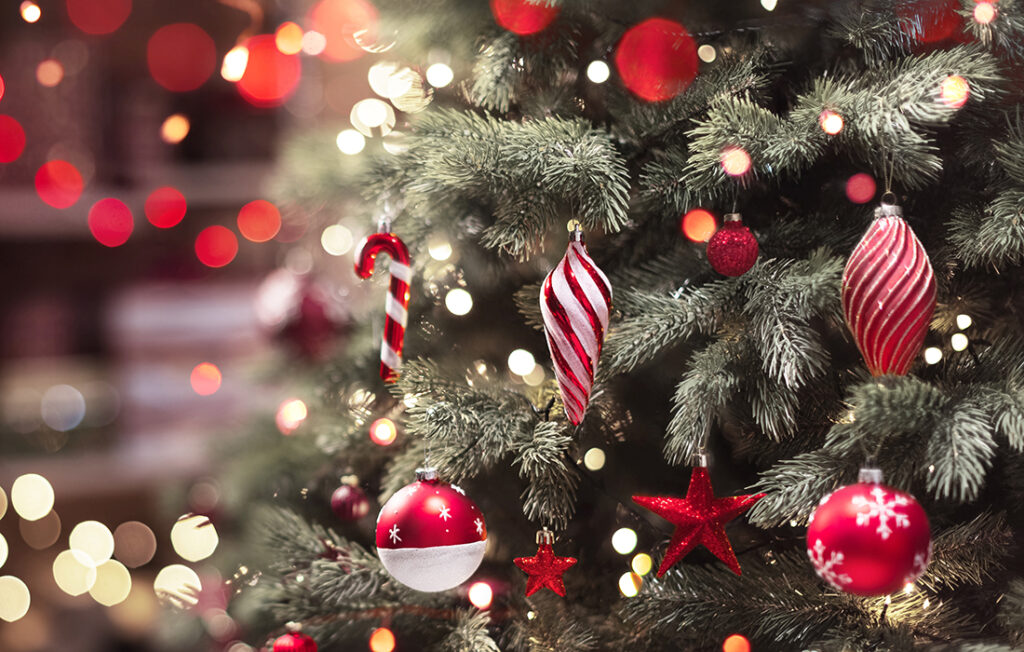 Christmas Tree with lights Pic: Shutterstock