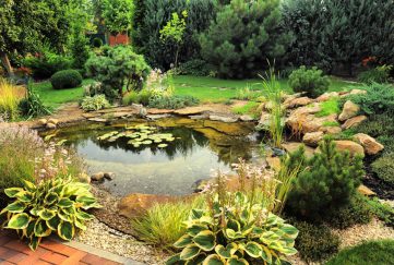 A beautiful garden pond and planting to turn your outdoor space into a wildlife garden