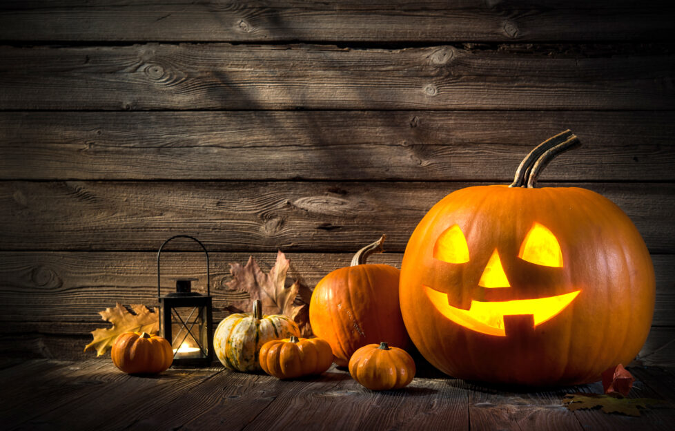 Halloween pumpkin head jack lantern on wooden background;