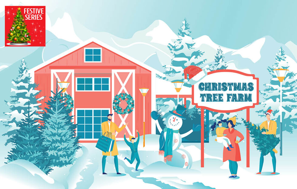 A Christmas Tree Farm Illustration: Shutterstock