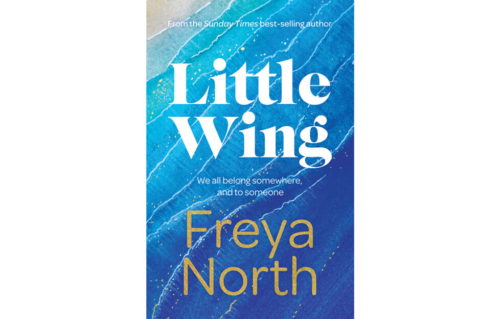 Little Wing book cover