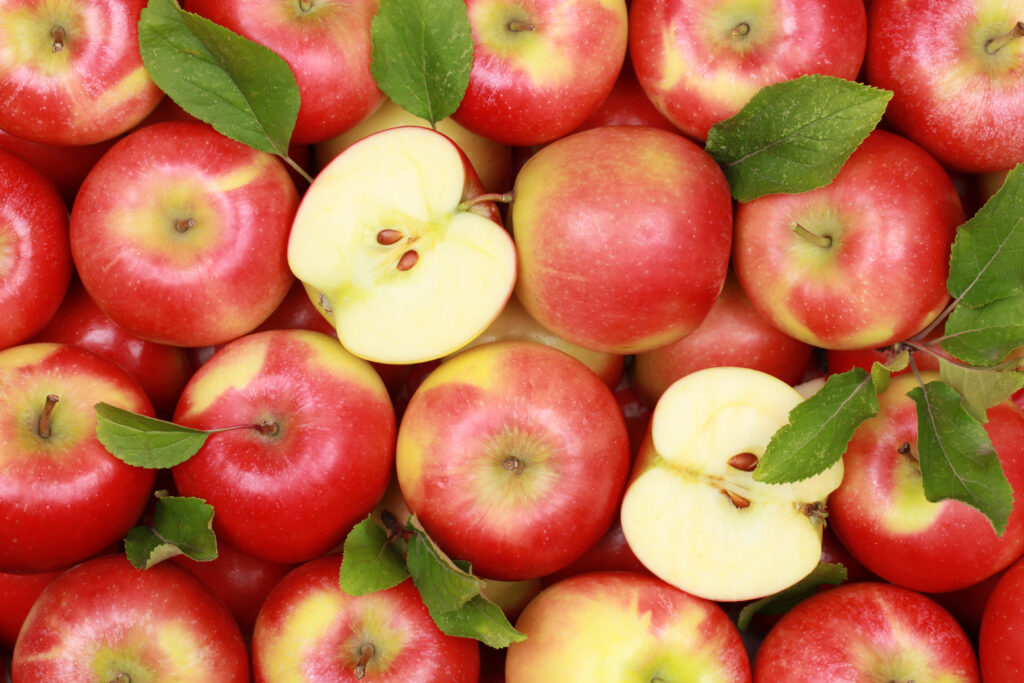 Group of red apples with their leaves; 