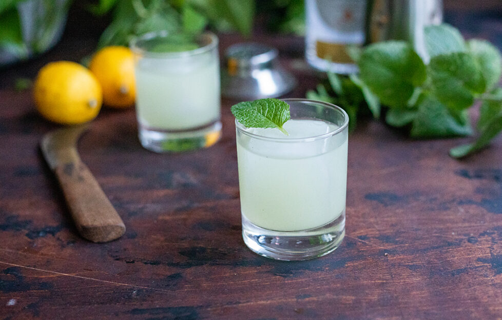 ginger elder gin cocktail with lemons and mint leaves