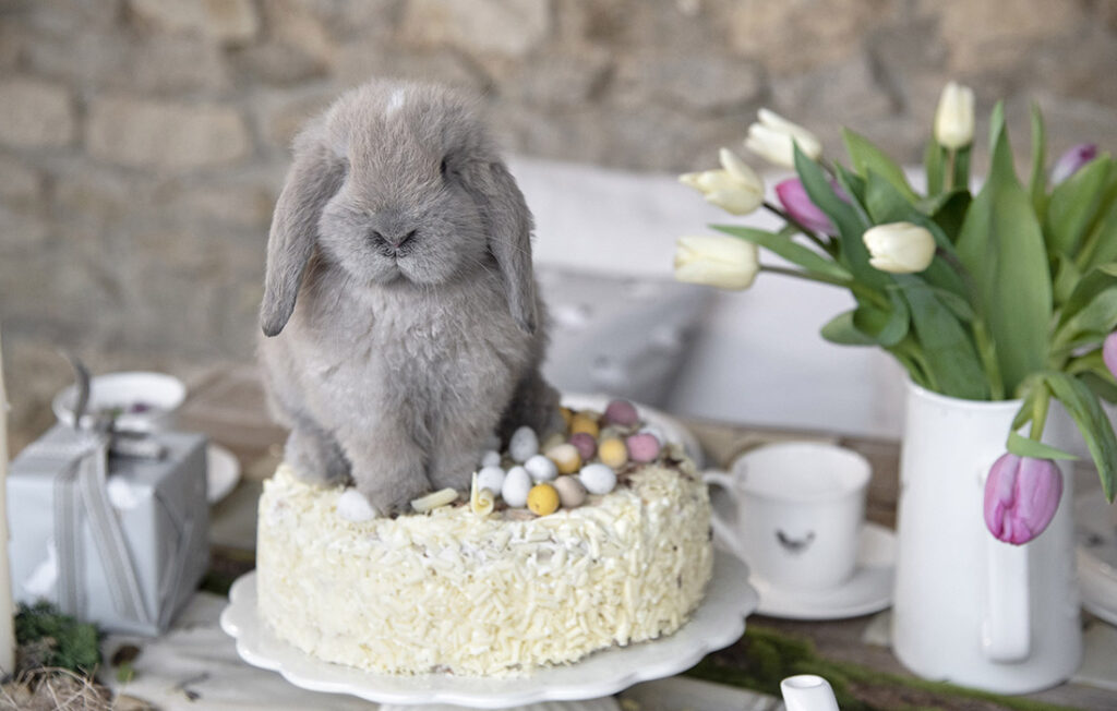 A rabbit on an Easter cake