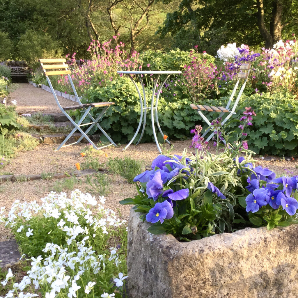 Garden table and chairs, blue pansies, stone trough, natural garden