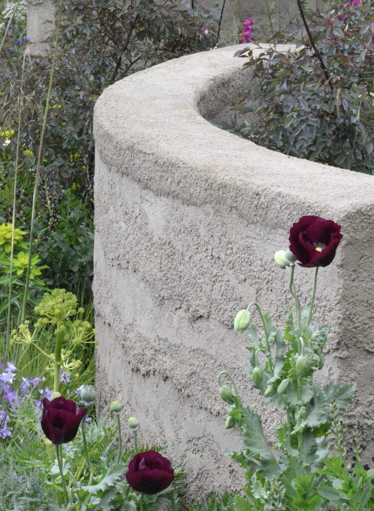 Poppies and curving wall in the Mind garden.