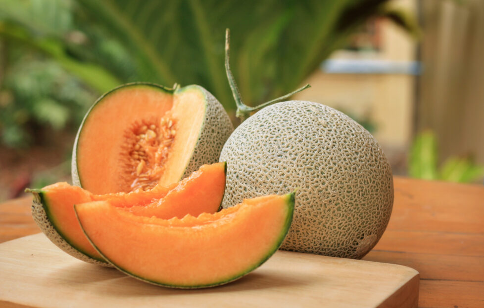 Whole and sliced of Japanese melons,honey melon or cantaloupe (Cucumis melo) on wooden table background.Favorite fruit in summer.Food,Fruits or healthcare concept.;