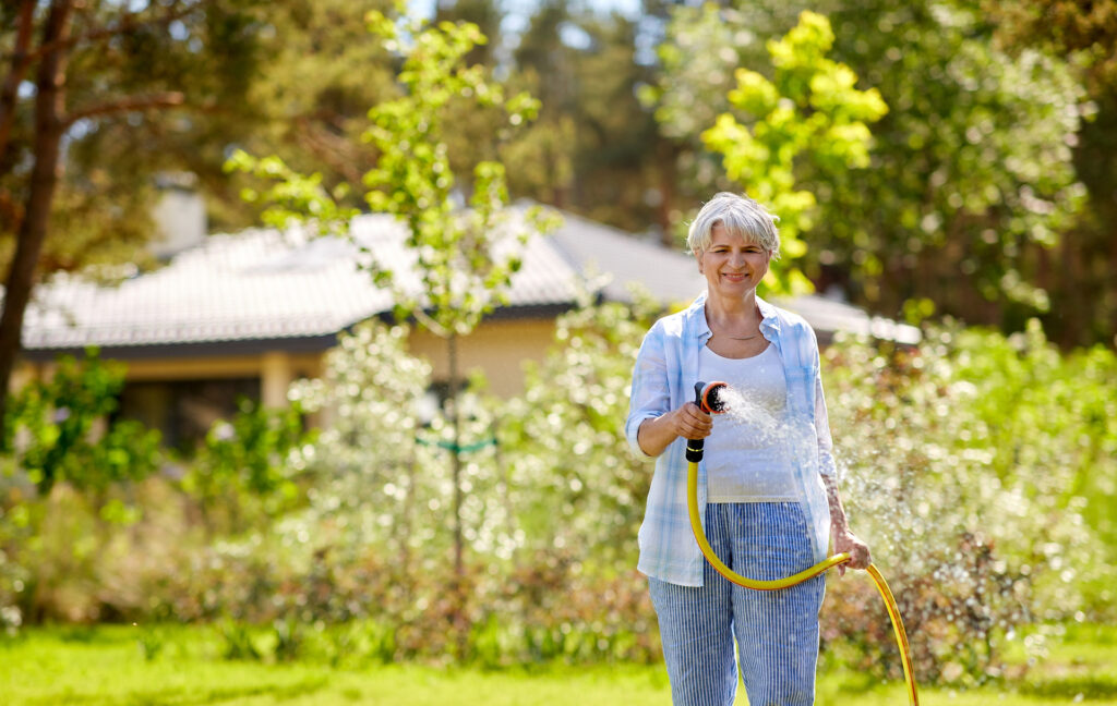 gardening and people concept - happy senior woman watering lawn by garden hose at summer; 