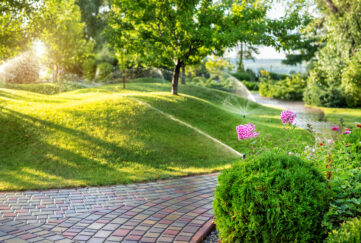Automatic garden watering system with different sprinklers installed under turf. Landscape design with lawn hills and fruit garden irrigated with smart autonomous sprayers at sunset evening time;