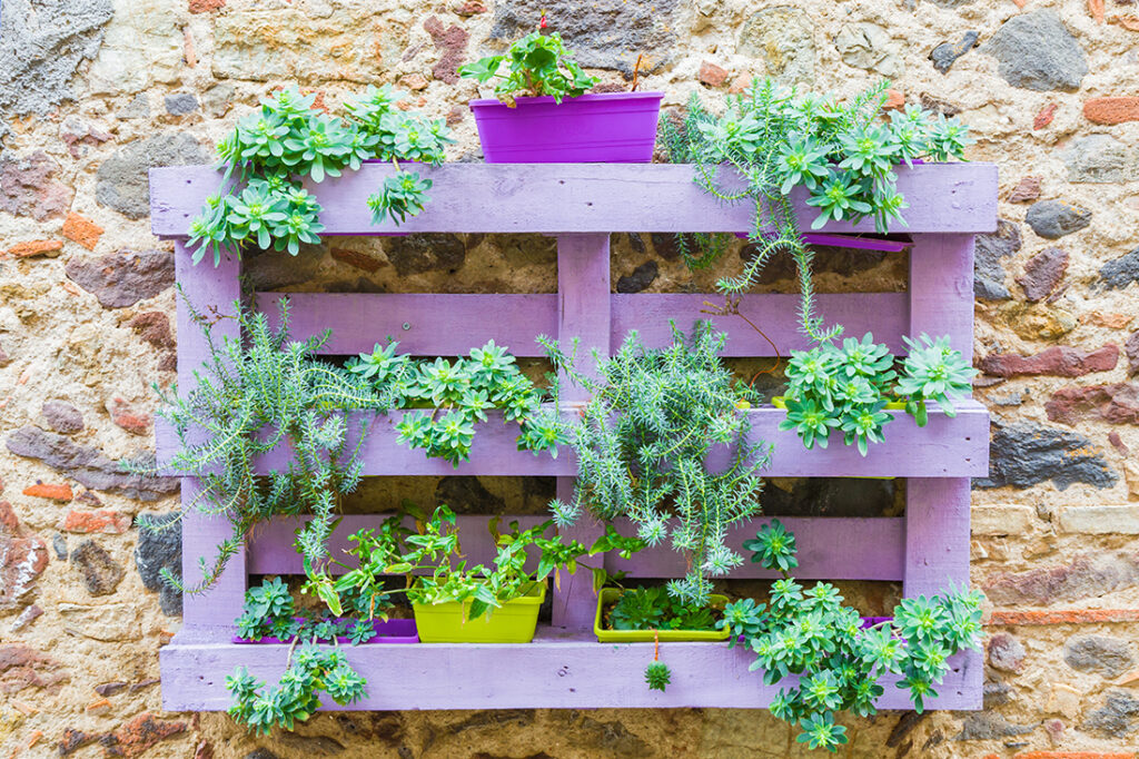 Painted wooden pallet planter Pic: Shutterstock